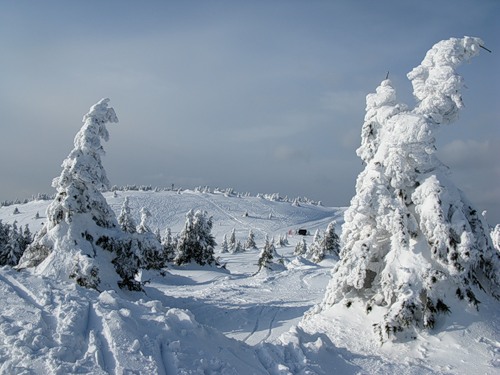 Зимний курорт Копаоник в Сербии. Фото: Яндекс.Фотки, Светлана